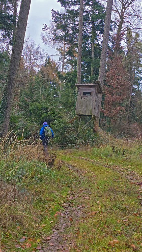 Reidlingberg (26 Bildaufrufe)