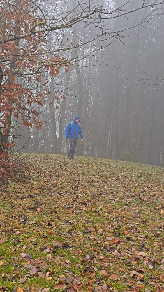 Plambacheck (20 Bildaufrufe)