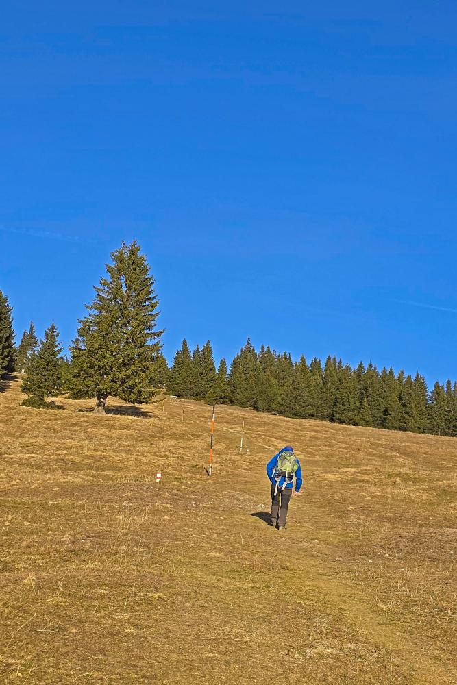 Tirolerkogel (44 Bildaufrufe)