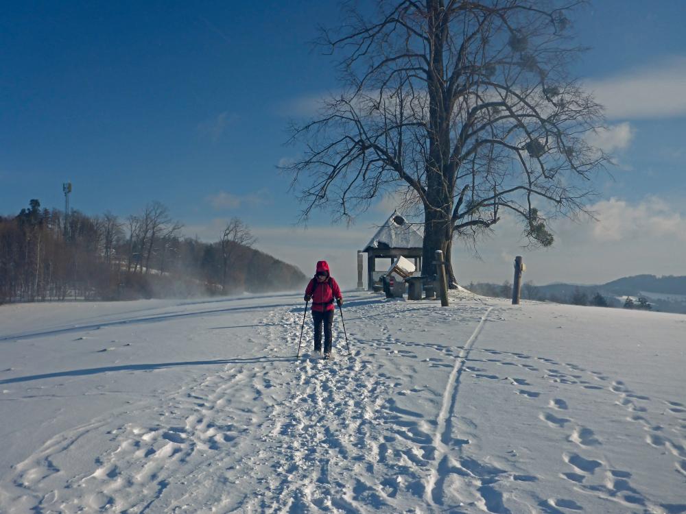 Rudolfsh&ouml;he (29 Bildaufrufe)