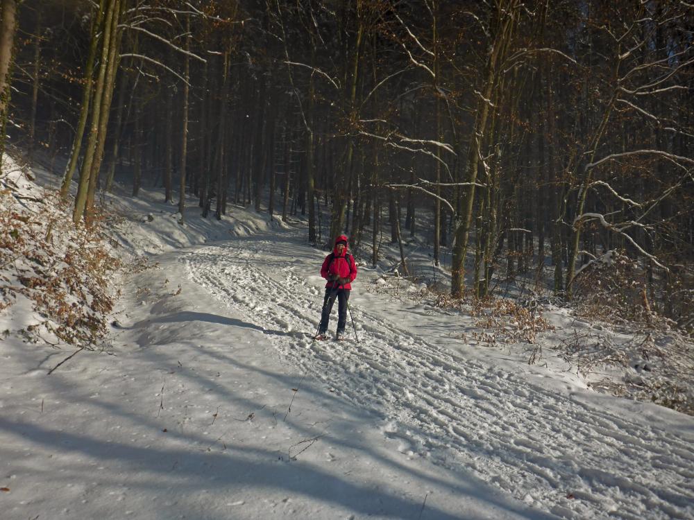 Rudolfsh&ouml;he (39 Bildaufrufe)