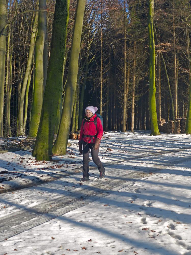 Edlitzberg (17 Bildaufrufe)