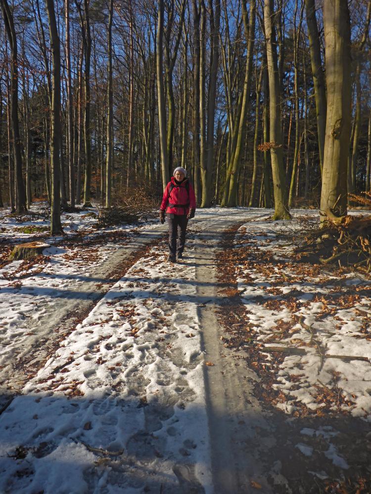 Edlitzberg (32 Bildaufrufe)