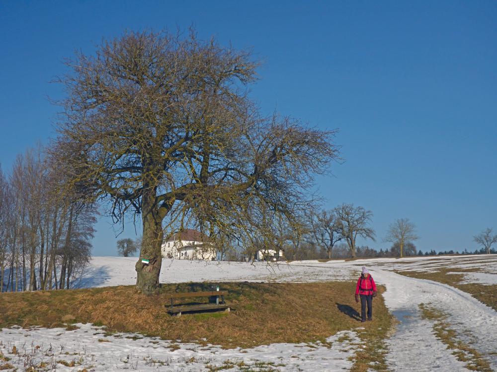 R&ouml;sselberg (36 Bildaufrufe)