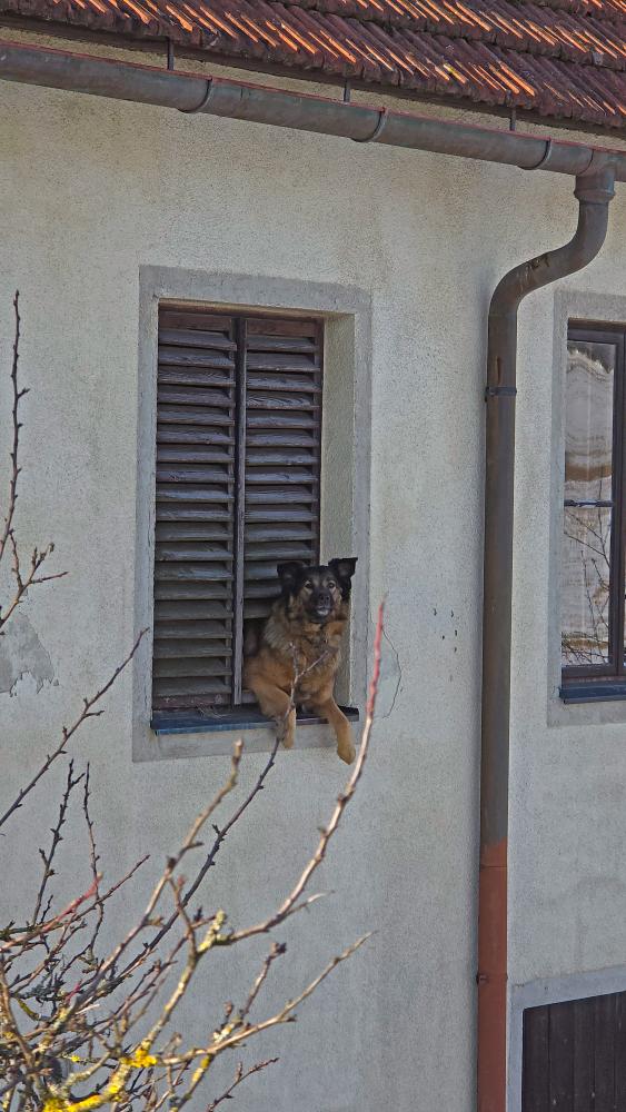 R&ouml;sselberg (27 Bildaufrufe)