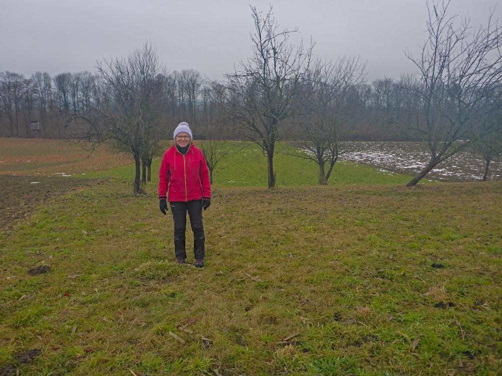 Kuhberg (25 Bildaufrufe)