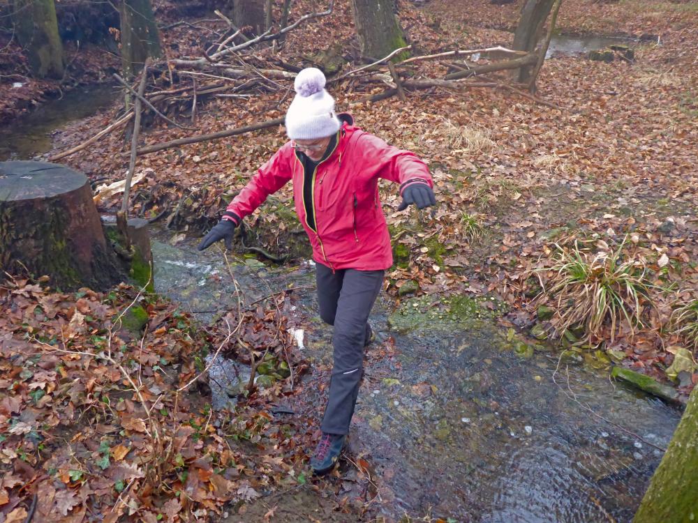 Kuhberg (23 Bildaufrufe)