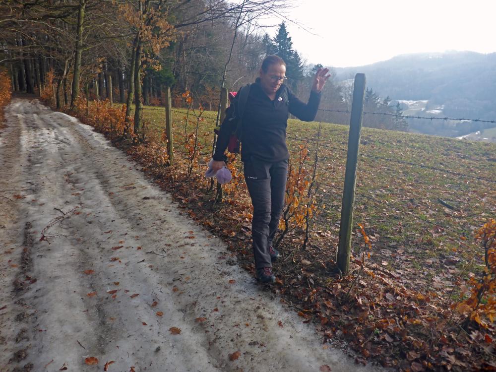 Gaisberg (35 Bildaufrufe)