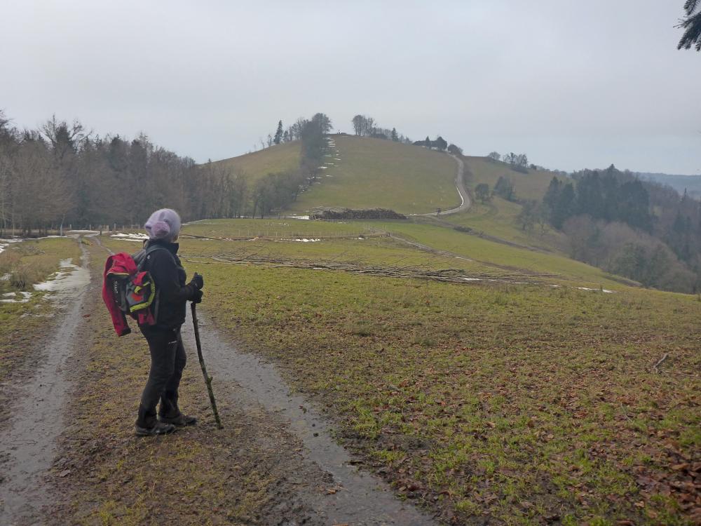 Gaisberg (39 Bildaufrufe)