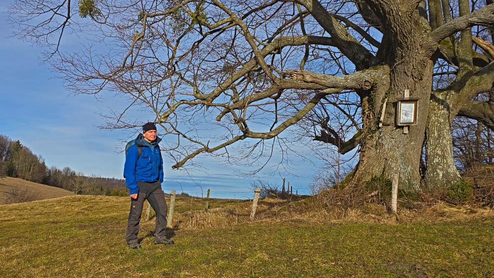 Kaiserkogel (31 Bildaufrufe)