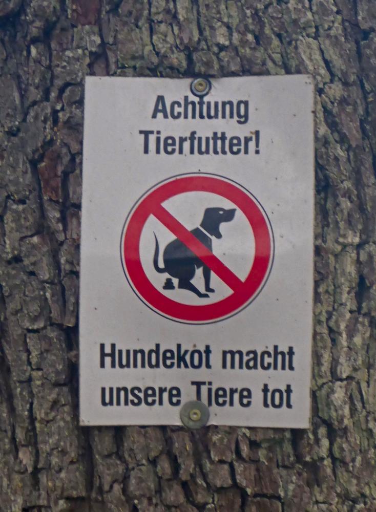 Hauswald (36 Bildaufrufe)