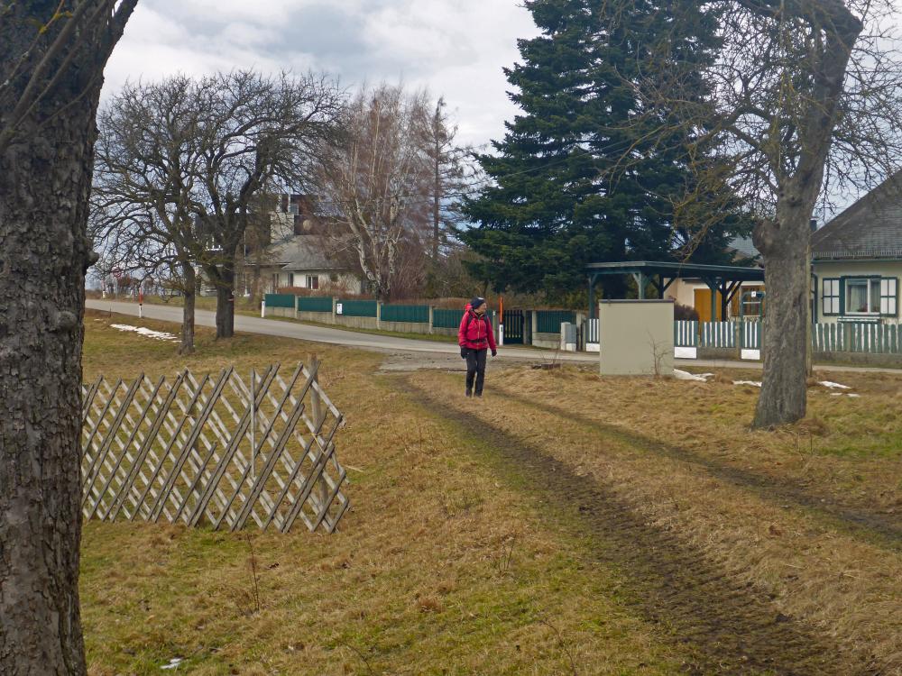 Sch&ouml;nberg (32 Bildaufrufe)