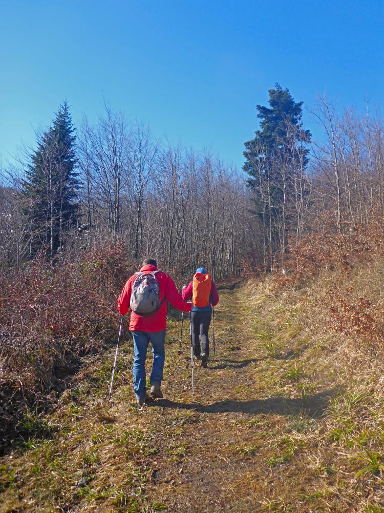 Draxelhofer H&ouml;he (31 Bildaufrufe)