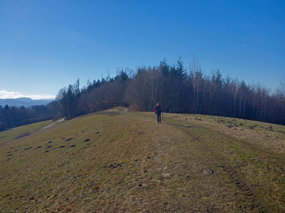 Draxelhofer Höhe (32 Bildaufrufe)