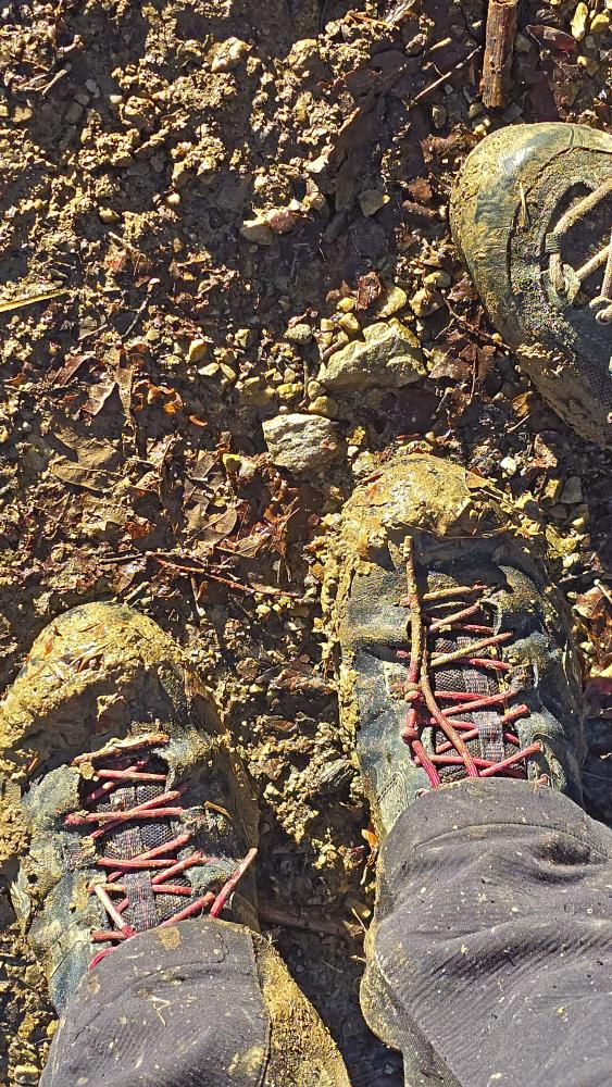 Draxelhofer H&ouml;he (29 Bildaufrufe)