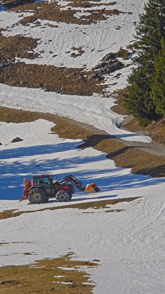 Tirolerkogel (38 Bildaufrufe)
