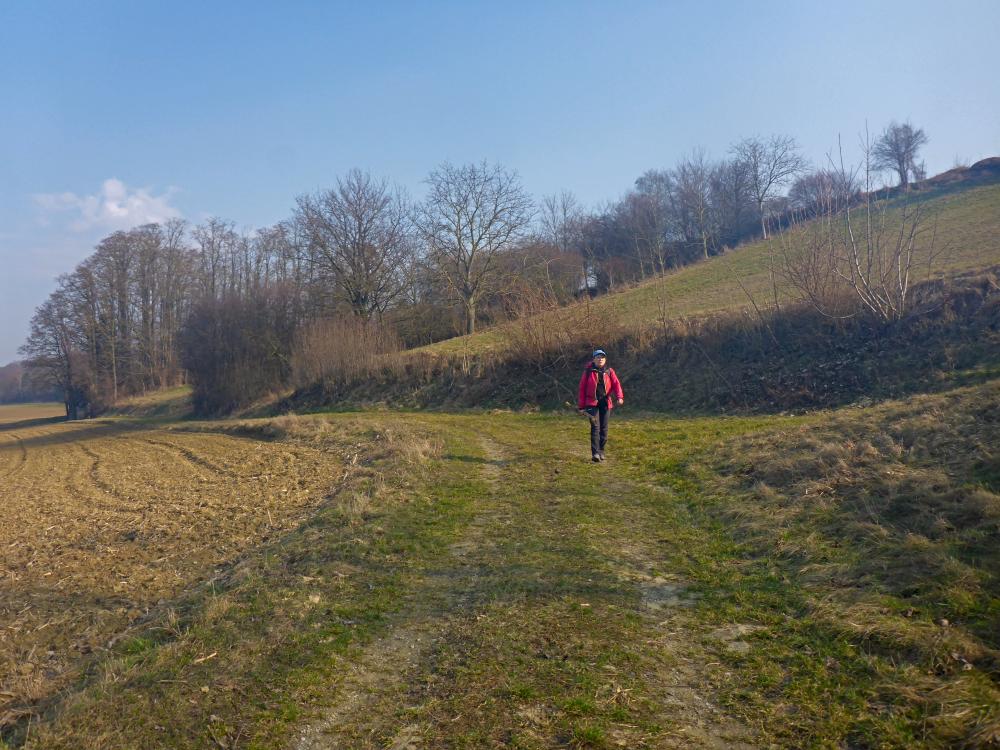 Eiserne Hand (14 Bildaufrufe)
