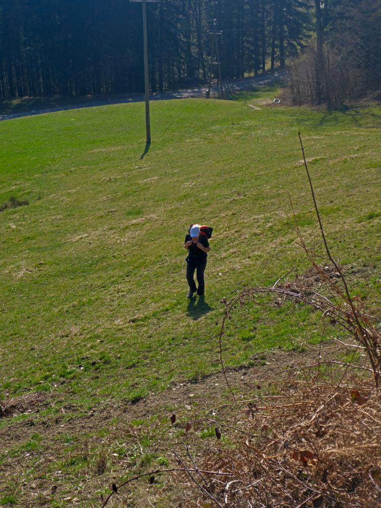 Durlaswaldhöhe (27 Bildaufrufe)