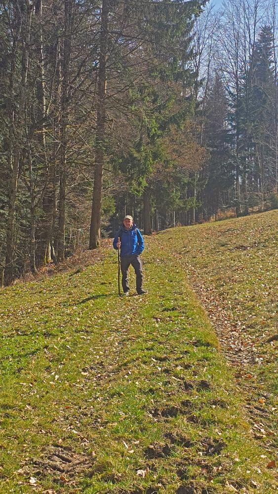 Durlaswaldh&ouml;he (24 Bildaufrufe)