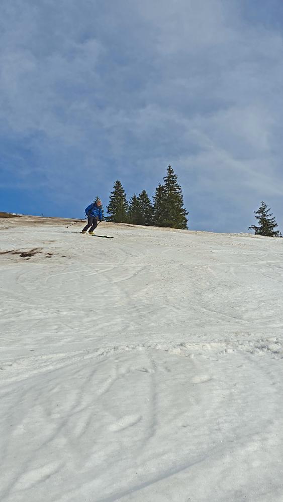 Bürgeralpe (44 Bildaufrufe)