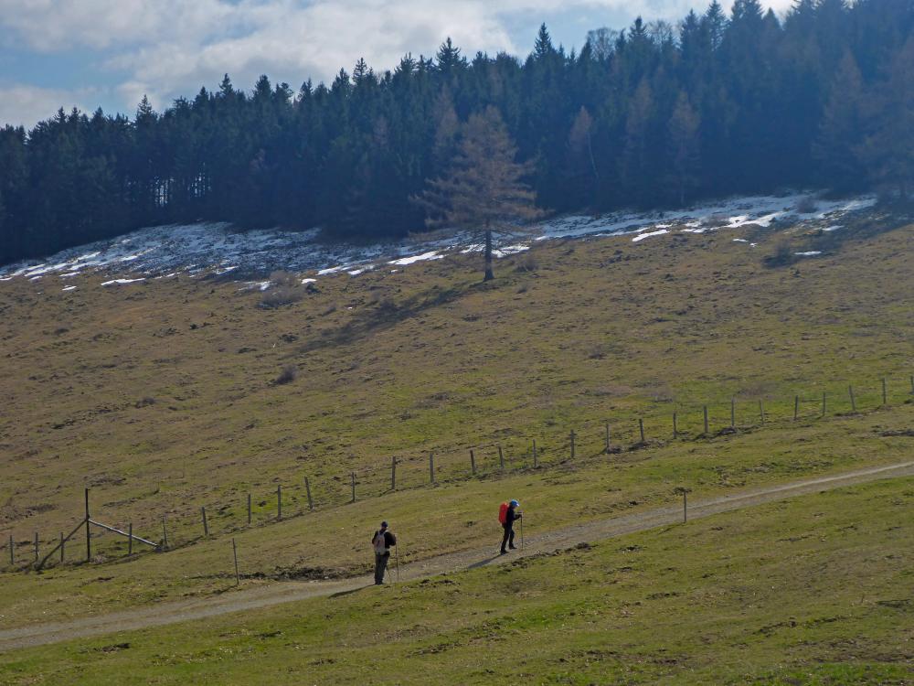 Eisenstein (35 Bildaufrufe)