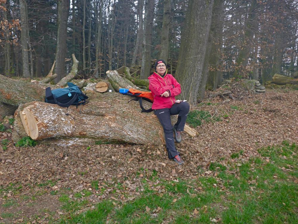 Hummelberg (27 Bildaufrufe)