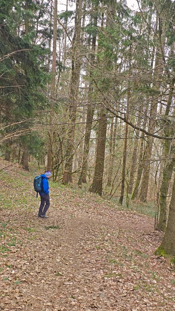 Hummelberg (29 Bildaufrufe)