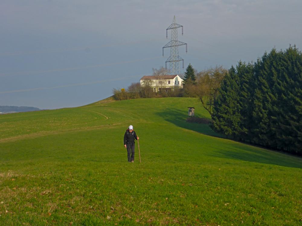 Rainberg (26 Bildaufrufe)