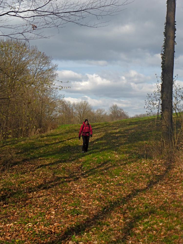 Kuhberg (16 Bildaufrufe)