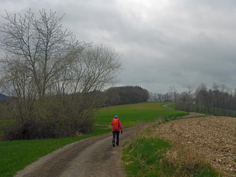Kuhberg (17 Bildaufrufe)