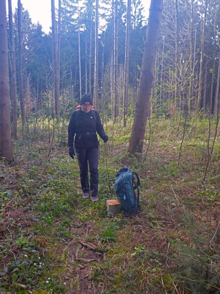 Forst am Berg (26 Bildaufrufe)