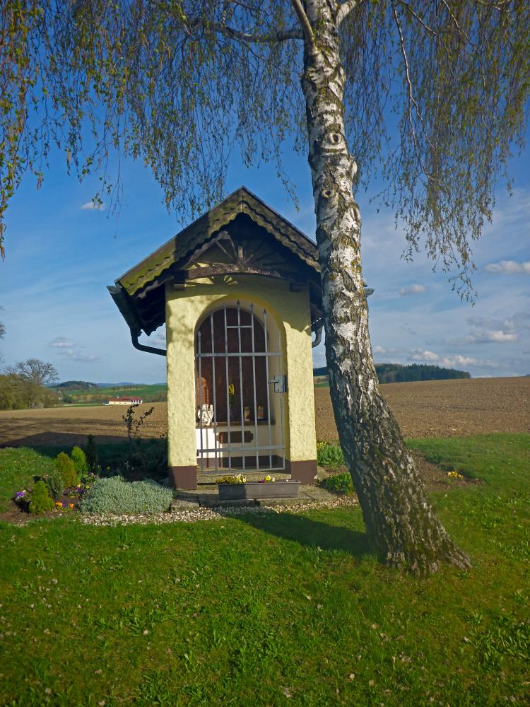 Forst am Berg (21 Bildaufrufe)