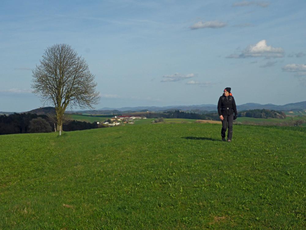 Forst am Berg (21 Bildaufrufe)