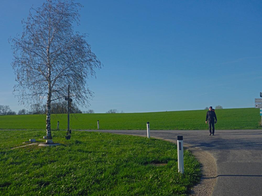 Forst am Berg (23 Bildaufrufe)