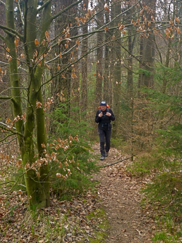 Dunkelstein (15 Bildaufrufe)