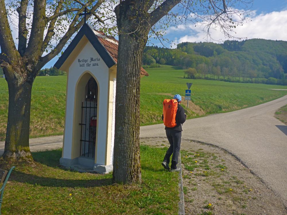 Hirschenberg (16 Bildaufrufe)