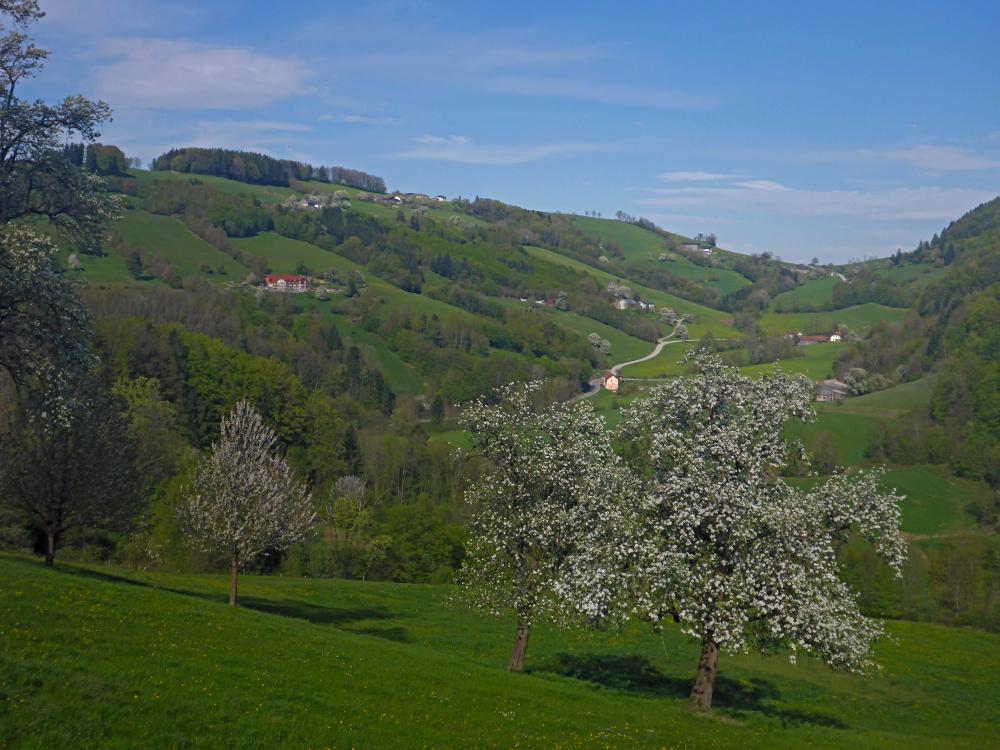 Hirschenberg (24 Bildaufrufe)