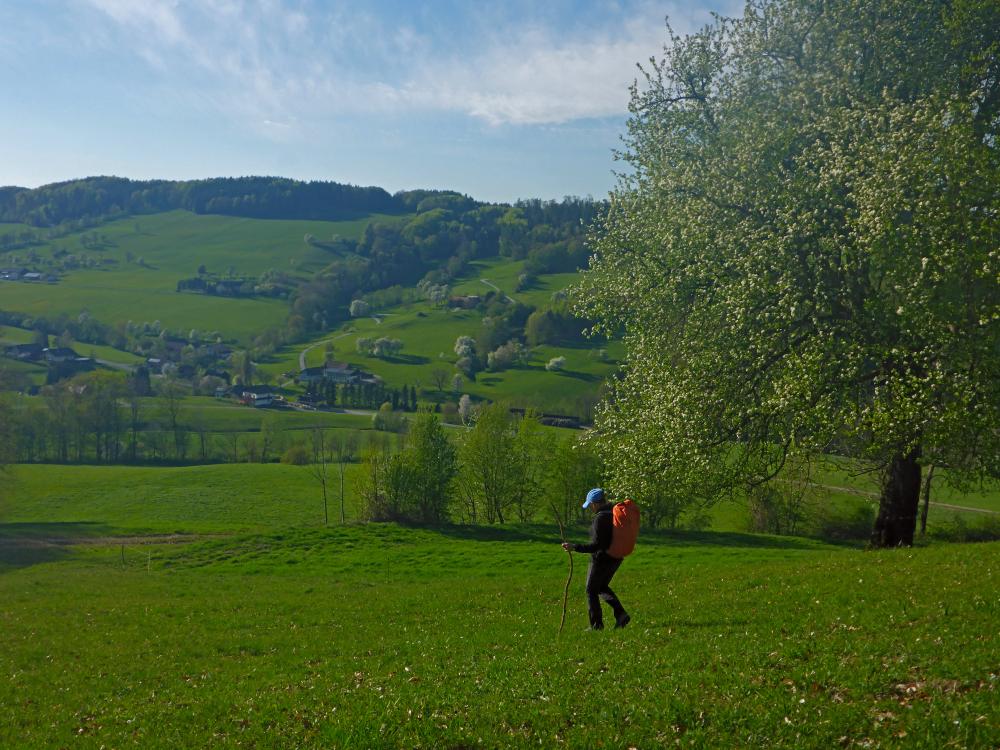 Hirschenberg (17 Bildaufrufe)