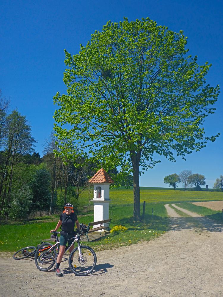 Schlögelsberg (17 Bildaufrufe)