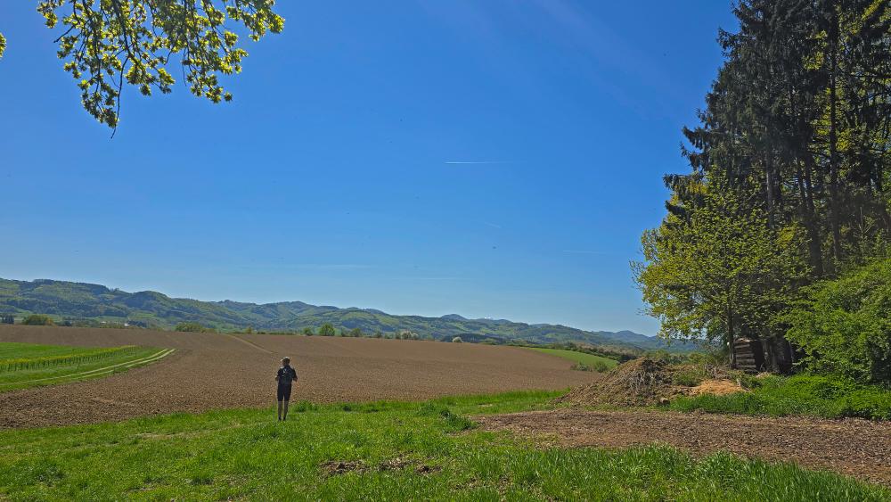 Schlögelsberg (21 Bildaufrufe)