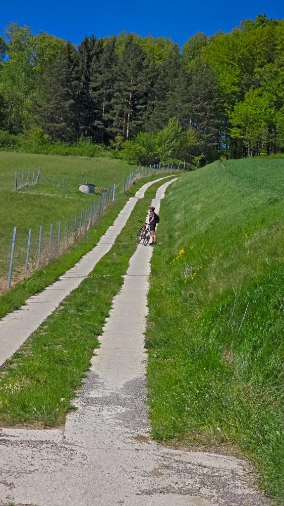 Schl&ouml;gelsberg (24 Bildaufrufe)