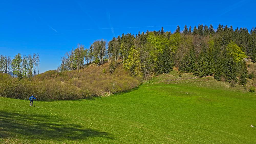 Klausberg (20 Bildaufrufe)