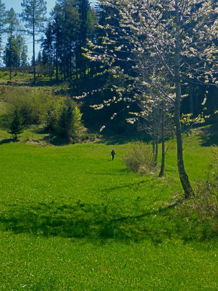 Klausberg (14 Bildaufrufe)