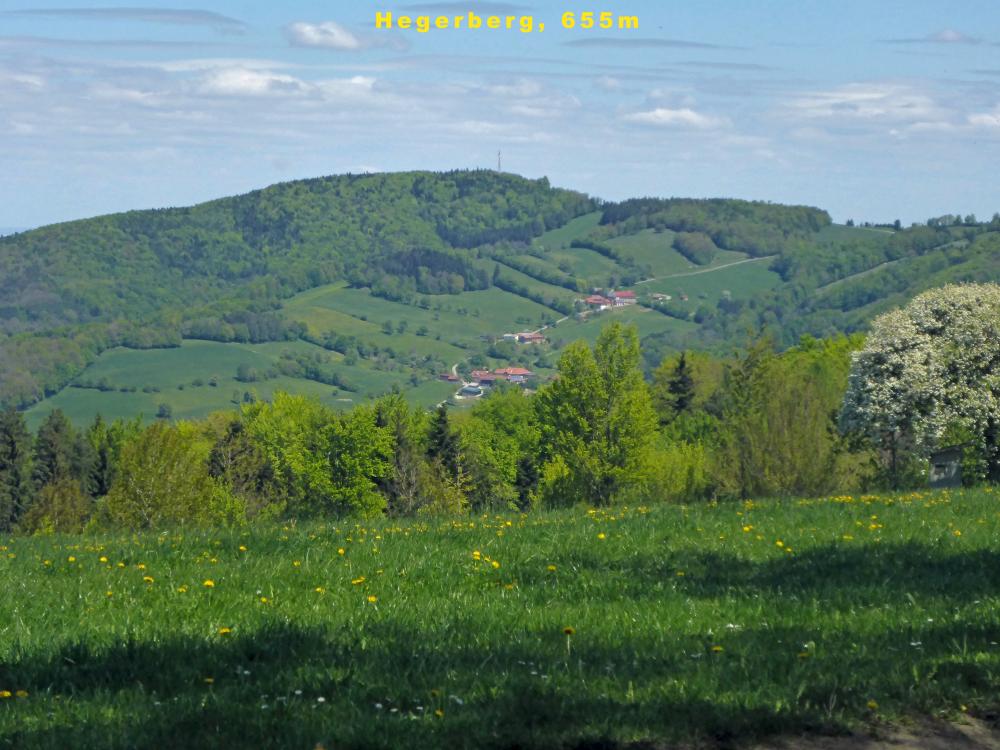 Michelbacherhöhe (22 Bildaufrufe)