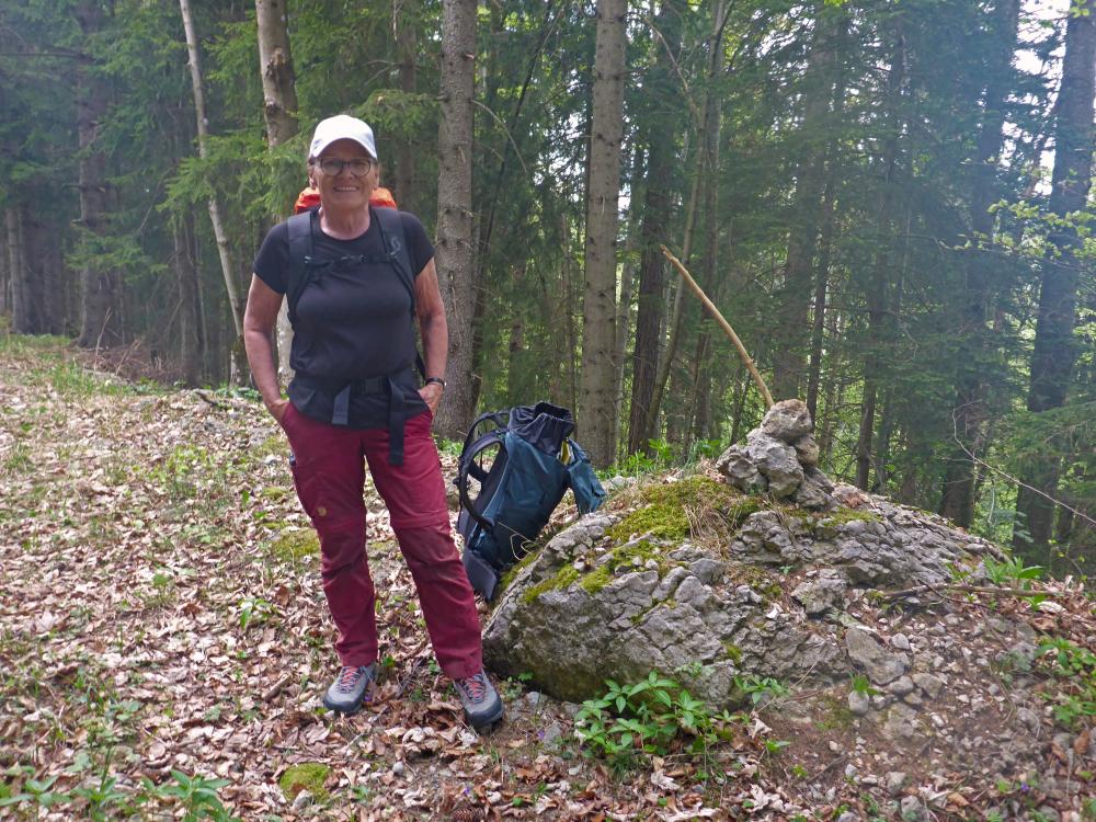 Bärenkogel (30 Bildaufrufe)