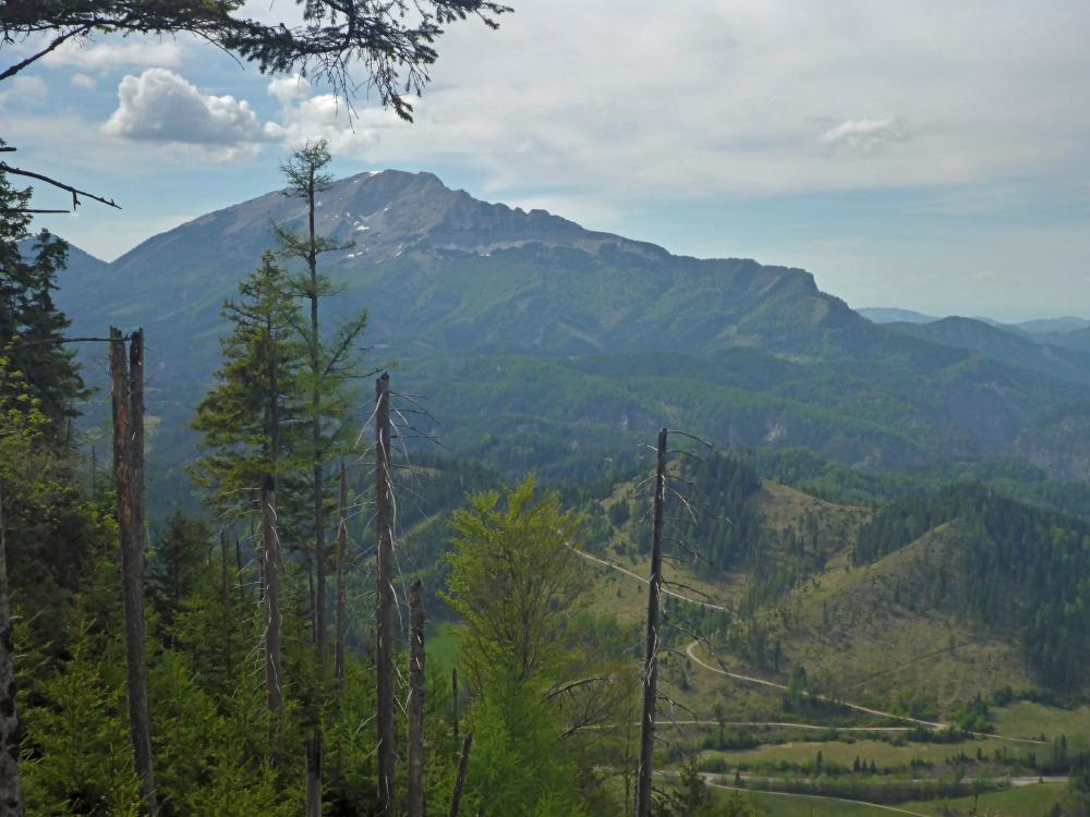 Amaißkogel (28 Bildaufrufe)