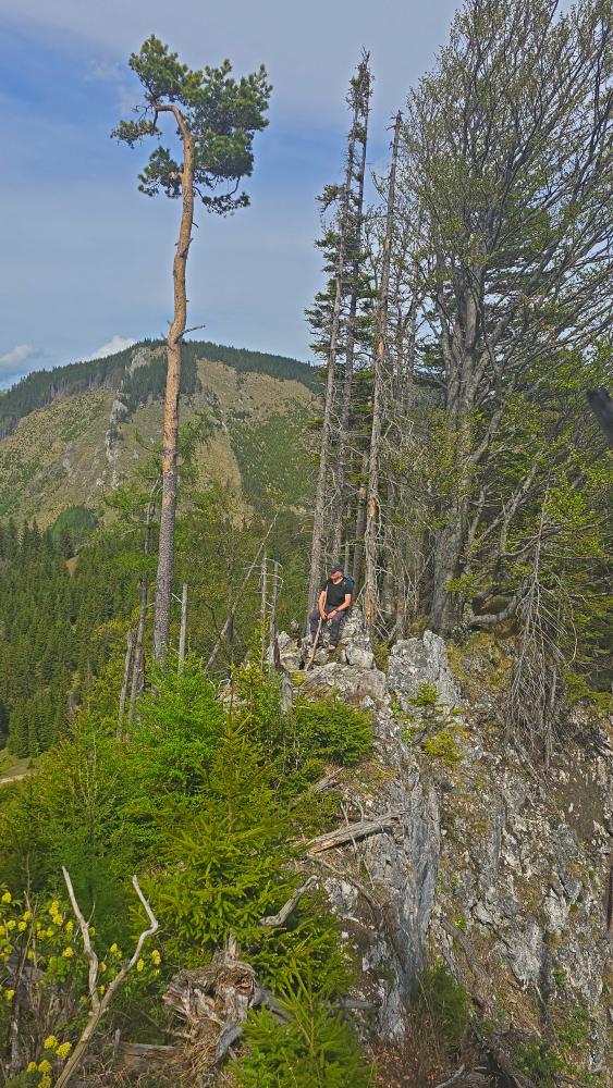 Amai&szlig;kogel (4 Bildaufrufe)