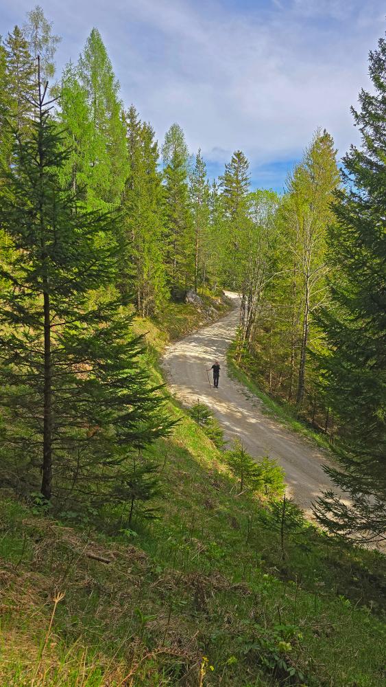 Amai&szlig;kogel (21 Bildaufrufe)