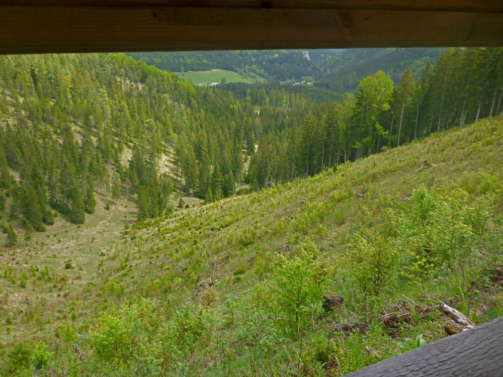 Moserkogel (20 Bildaufrufe)