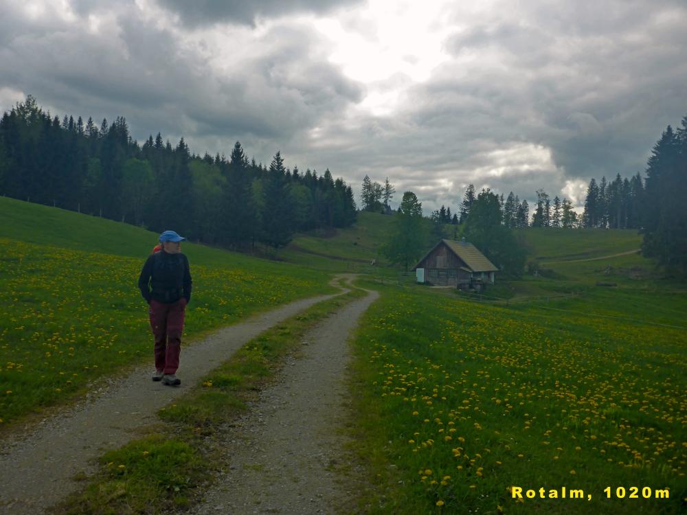 Moserkogel (33 Bildaufrufe)
